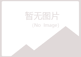 天津河西晓夏能源有限公司